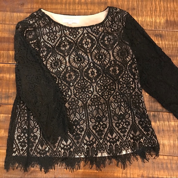 LOFT Black and Tan Lace Layered Top - Picture 3 of 8